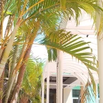Chambre rénovée de l'Hôtel Palma Real à Varadero