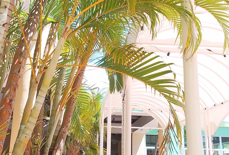 Chambre rénovée de l'Hôtel Palma Real à Varadero
