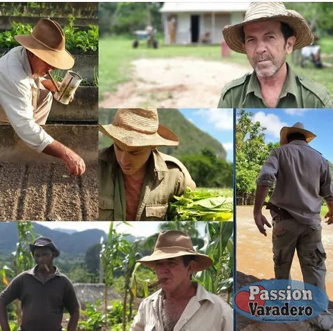 19ed99-8a27593847da4862934204a5573dd1df-mv2