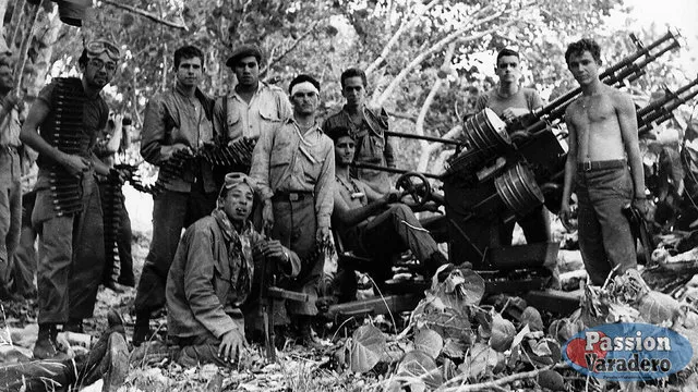 19ed99-d165b39a82754acfafef79a5ad477ddc-mv2-1