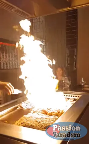 56334b-227d1550eb024a2d810196956d564cbd-mv2