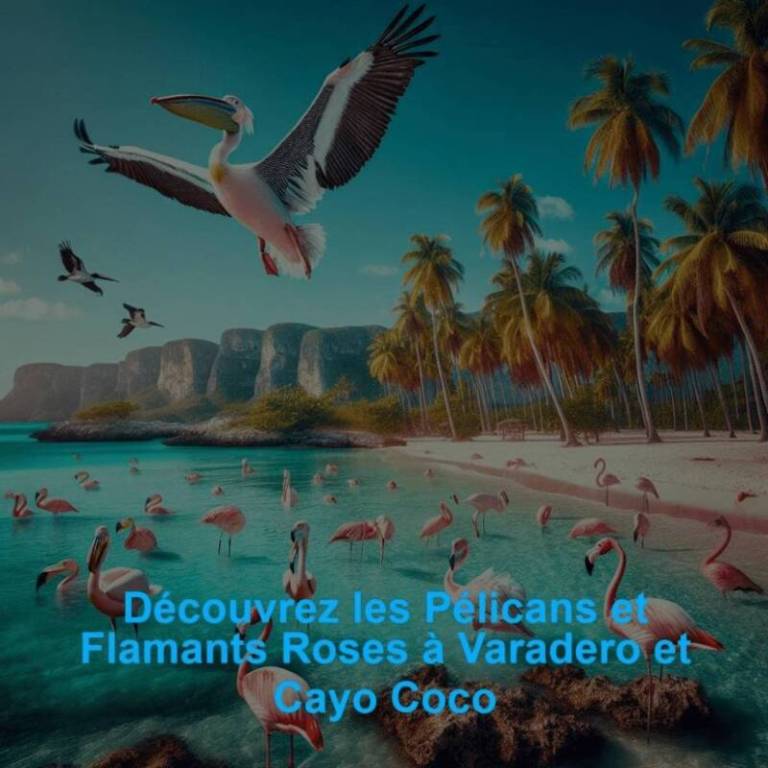 68e05f6c059b7-scaled