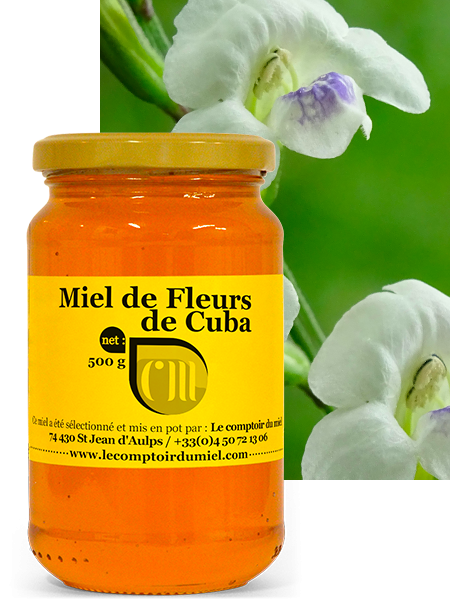 decouvrez-le-miel-de-cuba-un-souvenir-inoubliable