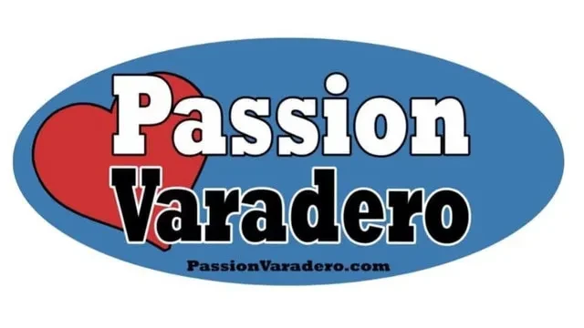 observer-des-oiseaux-mouches-a-varadero-un-defi-fascinant