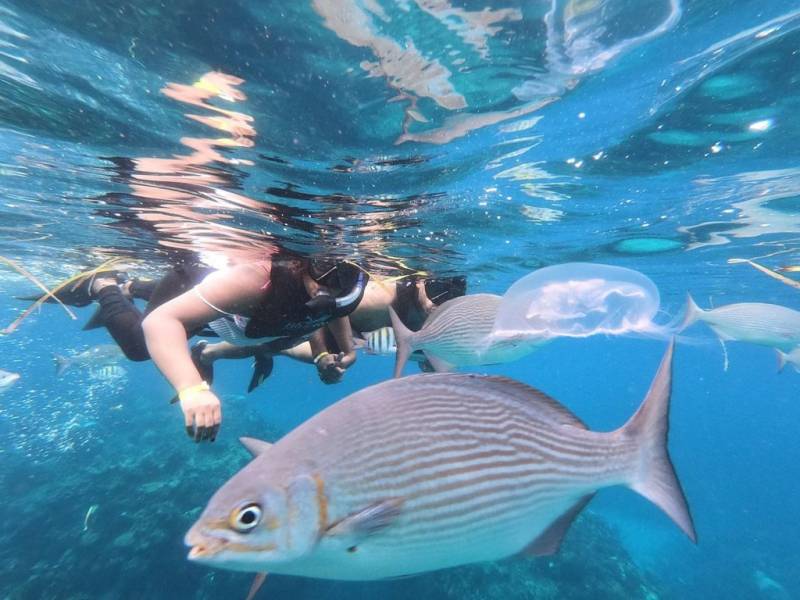 playa-coral-plongee-en-apnee-et-exploration-a-varadero