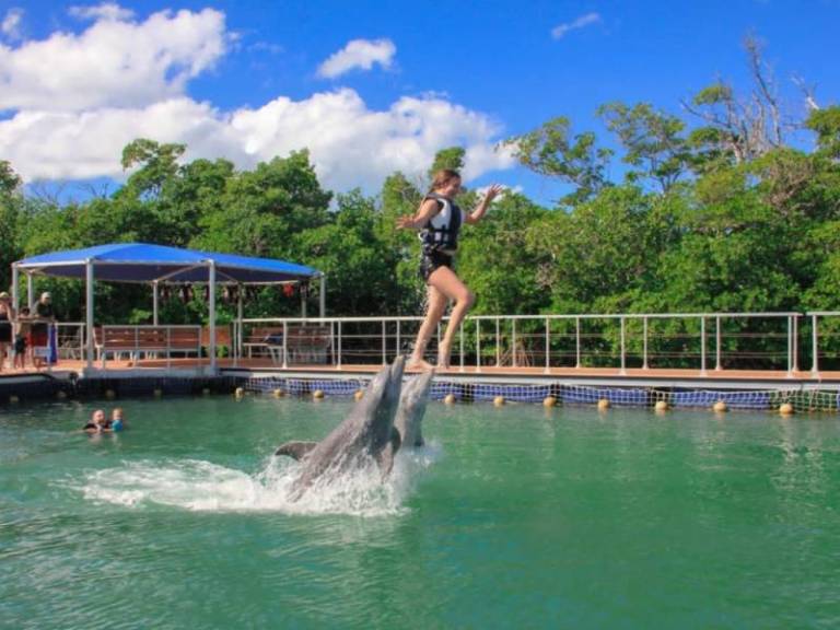 excursion-inoubliable-pour-voir-les-dauphins-a-varadero