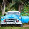 A vibrant blue vintage car parked among palm trees, showcasing classic automotive style.