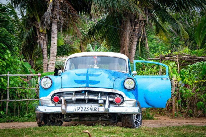A vibrant blue vintage car parked among palm trees, showcasing classic automotive style.